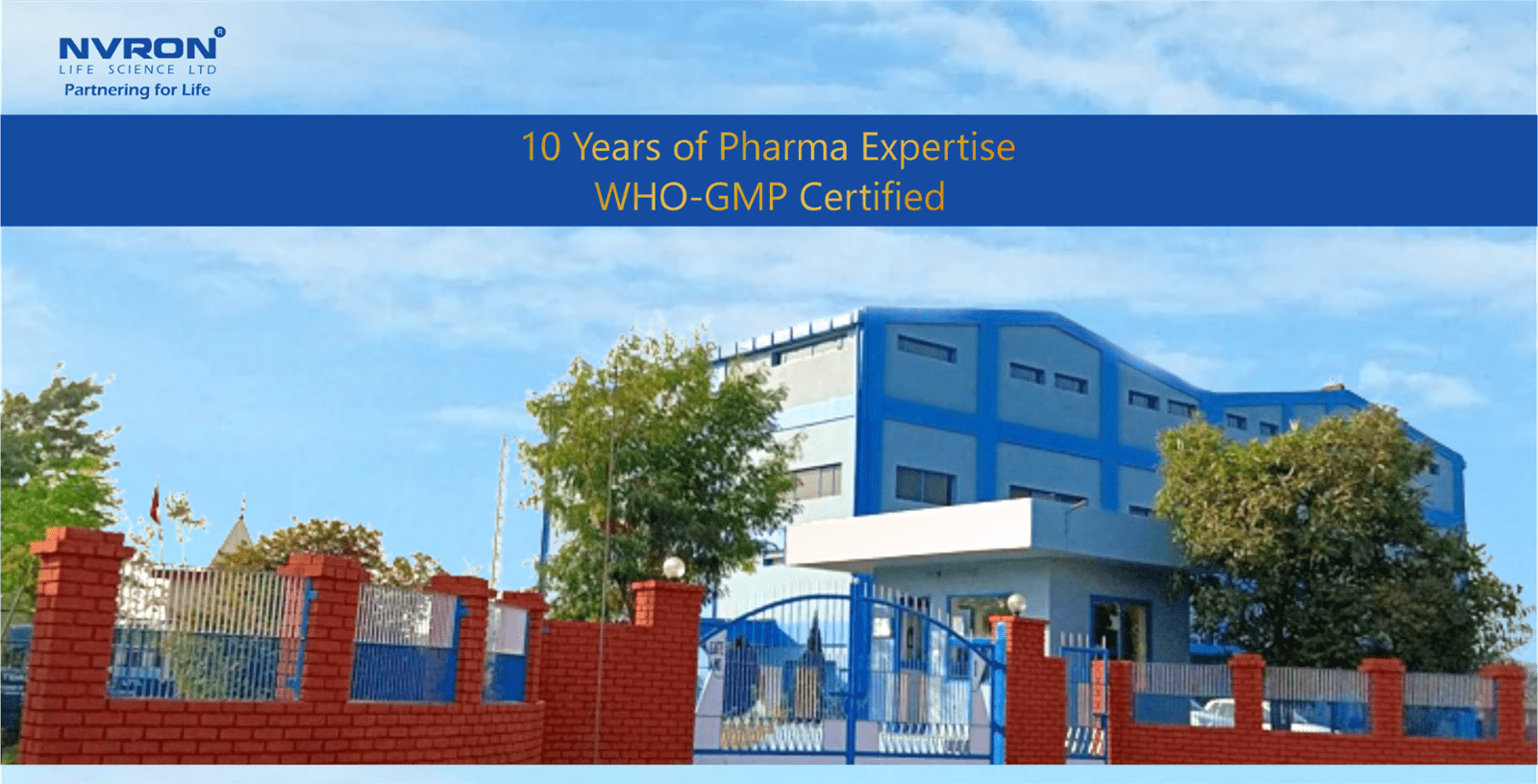 Nvron Life Science Our Journey in Pharmaceutical Excellence